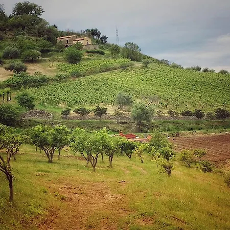 Agroturismo Fattoria Di Arieste Diamante