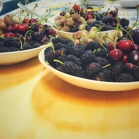 Agroturismo Fattoria Di Arieste